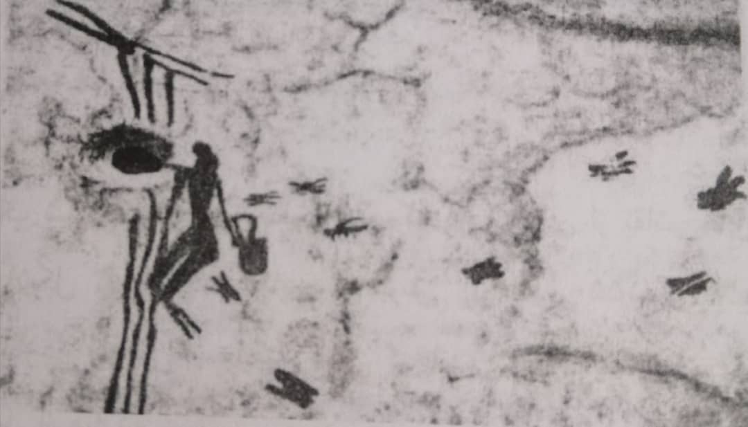 نقاشی سنگی 6000 سال پیش از میلاد