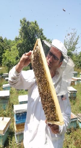 فروشگاه زنبورداری بالدیکن