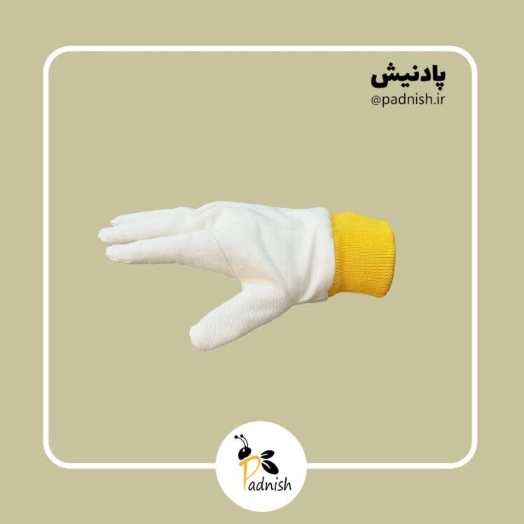 دستکش زنبور داری مچی پادنیش