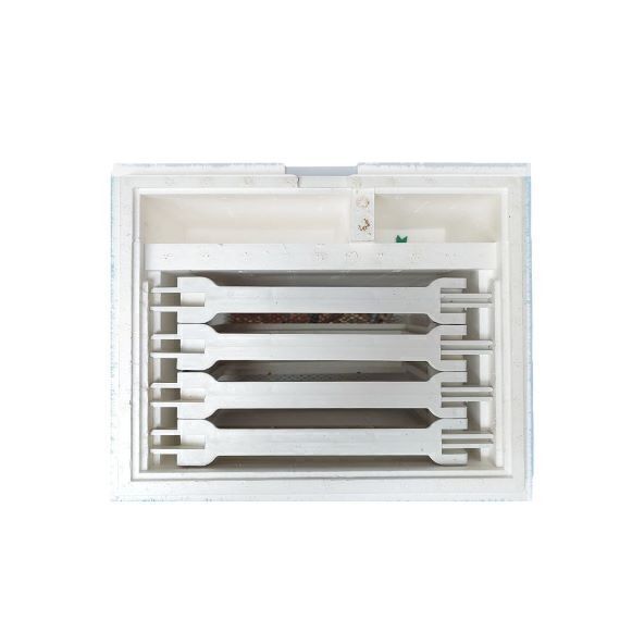 کندوچه فومی پرورش ملکه نوینست (Novi Nest)